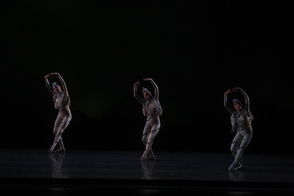 20160317_Midsummer_Night's_Dream_DR_Closeup_IMG_5431