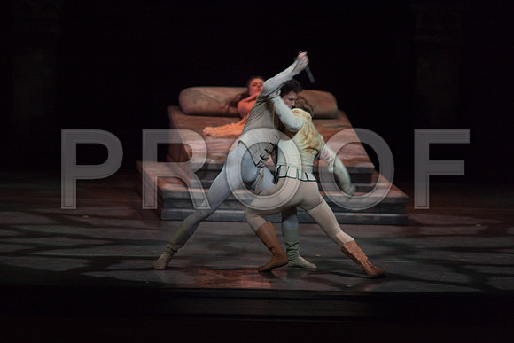 5029_DG_Miami_City_Ballet_Romeo_and_Juliet_Broward_center_2011_MG_7666