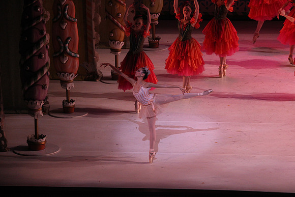 20141229_Nutcracker_WPB_Flowers__CG3P2160