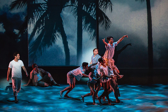 Before Night Falls Florida Grand Opera by Jorge Martin with Dolores M. Koch