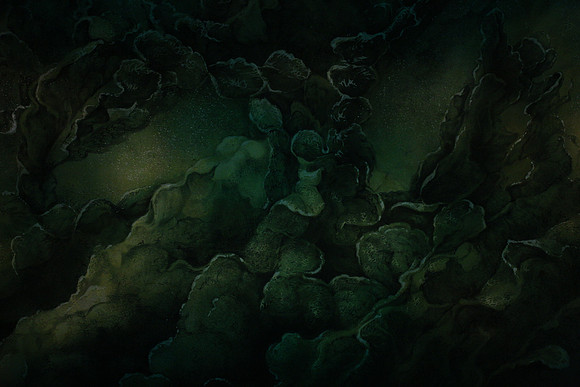 20160317_Midsummer_Night's_Dream_DR_Closeup_IMG_5416