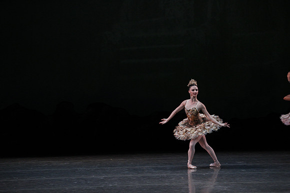20160318_Midsummer_Night's_Dream_PR_Closeup_G3P0064