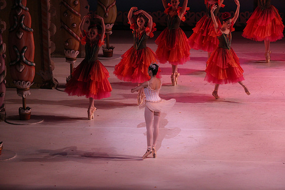 20141229_Nutcracker_WPB_Flowers__CG3P2156