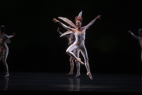 20160317_Midsummer_Night's_Dream_DR_Closeup_IMG_5450