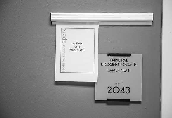 Lucia di Lammermoor Florida Grand Opera by Salvadore Cammarano