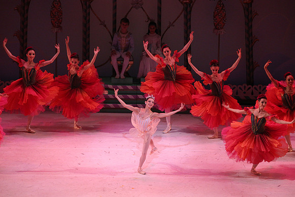 20141229_Nutcracker_WPB_Flowers__CG3P2122