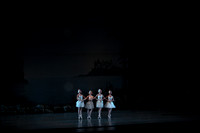 20151025_MCB_Swan_Lake_2Cast_Arsht_IMG_0012