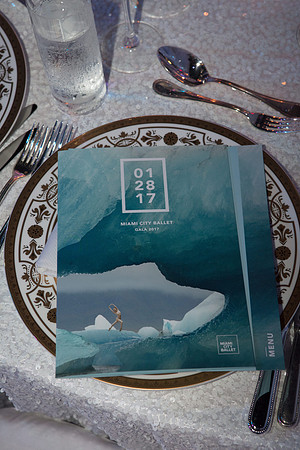 20170128_MCB_Gala_S5D6848