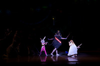 20211224_Nutcrackers_Arsht_DSC0008