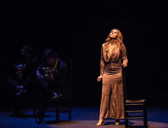 20170302_Stars_of_Flamenco_73A0750