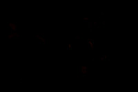 20160212_MCB_Sunset_wide_PR__S5A5041
