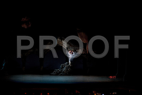 5029_DG_Miami_City_Ballet_Romeo_and_Juliet_Broward_center_2011IMG_0648