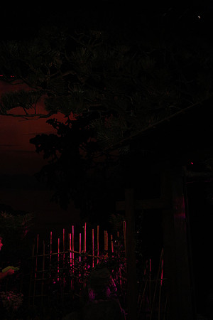 20141113_Madama_Butterfly_Arsht_9C7C3526