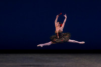 01-13-2013 _AL1B4408
