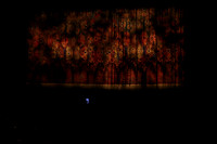 20150226_The_Pearl_Fisher_Act_2CG3P2844