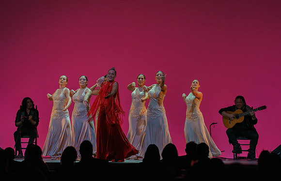 20210417_Siudy_ flamenco_archt_DSC9906