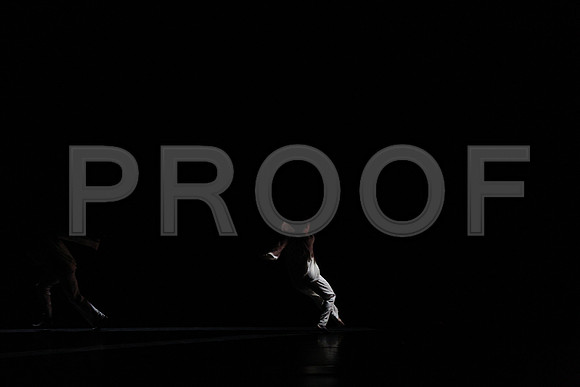 20160220_Alvin_Ailey_Awakening_IMG_4381