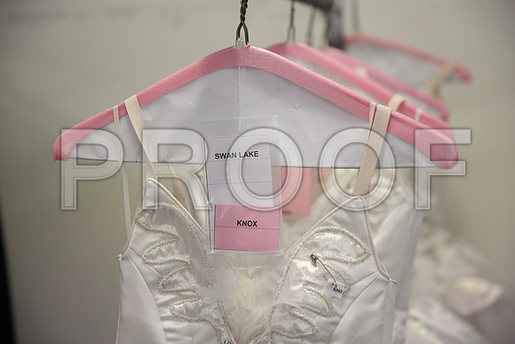 20150901_Fitting_Swan_Lake_Wardrobe_IMG_6406