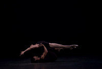 Polyphonia 2013-14