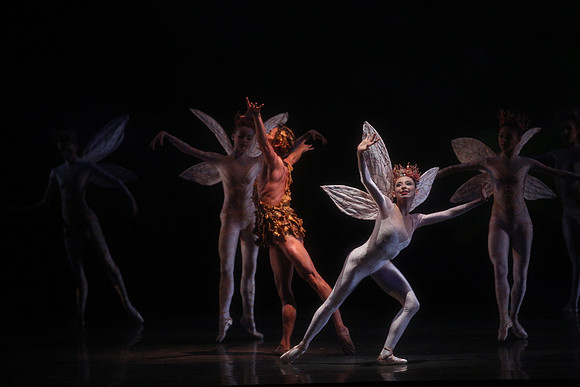 20160317_Midsummer_Night's_Dream_DR_Closeup_IMG_5595