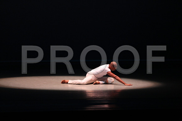 20170223_Alvin_Ailey_Revelations_PR_Wide_9C7C0056