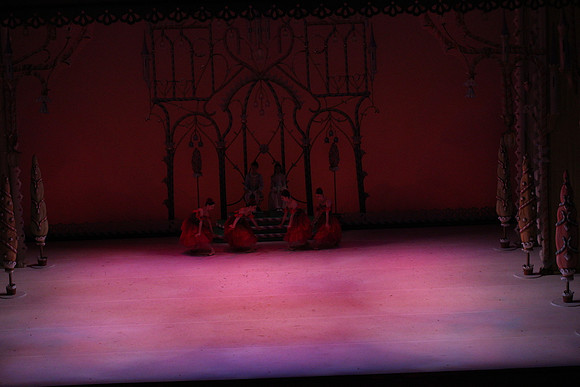 20141229_Nutcracker_WPB_Flowers__CG3P2023