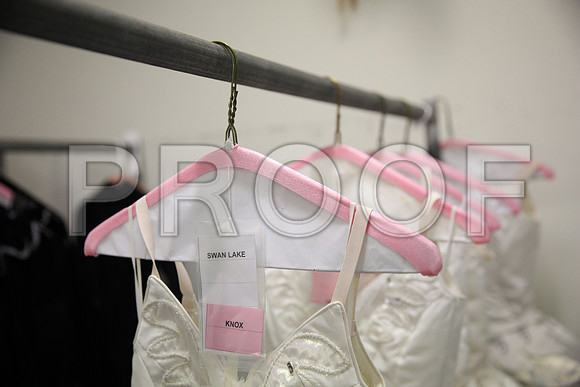 20150901_Fitting_Swan_Lake_Wardrobe_IMG_6417
