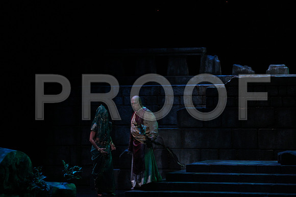 20150303_Pearl_Fisher_Act2_CG3P5924