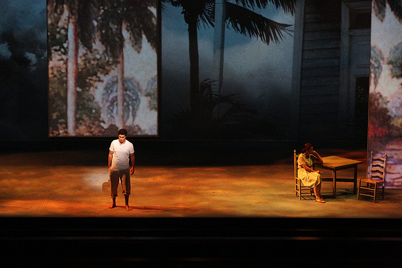 Before Night Falls Florida Grand Opera by Jorge Martin with Dolores M. Koch