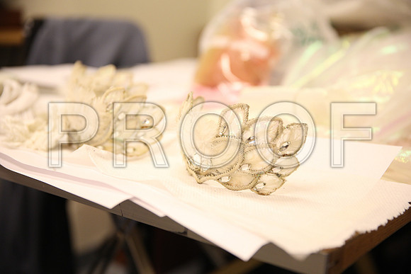 20150901_Fitting_Swan_Lake_Wardrobe_IMG_6231
