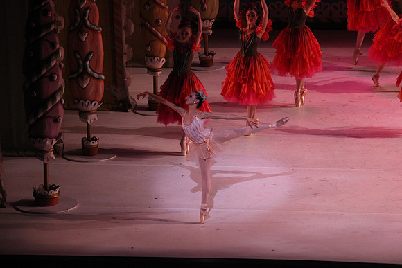 20141229_Nutcracker_WPB_Flowers__CG3P2159