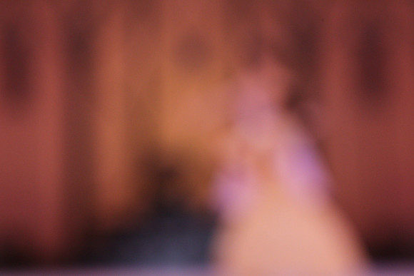 20130328_file004783