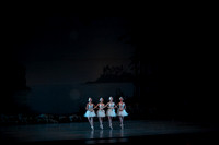20151025_MCB_Swan_Lake_2Cast_Arsht_IMG_0010
