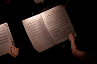 20240417_Swan_Lake_Orchestra_DSC5059.ARW