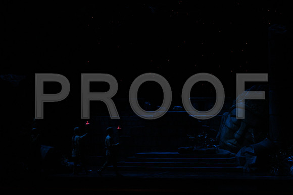 20150303_Pearl_Fisher_Act2_CG3P5745
