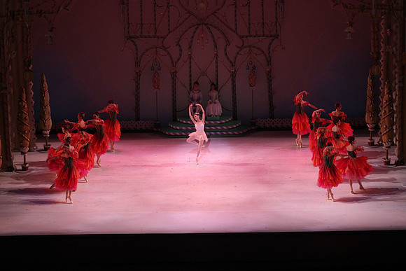20141229_Nutcracker_WPB_Flowers__CG3P2101