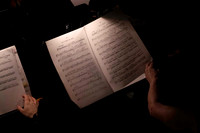 20240417_Swan_Lake_Orchestra_DSC5057.ARW