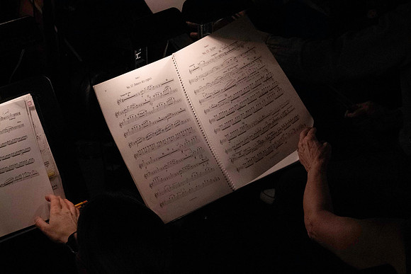 20240417_Swan_Lake_Orchestra_DSC5057.ARW