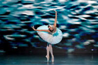 20241026_untitled20241026_Dying Swan__DSC5649