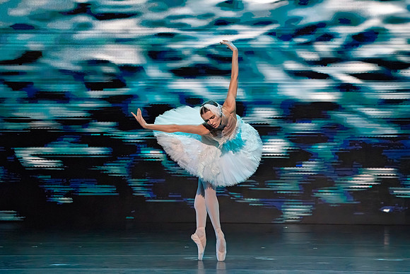 20241026_untitled20241026_Dying Swan__DSC5649