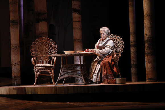 Eugene Onegin Florida Grand Opera by Konstantin Shilovsky