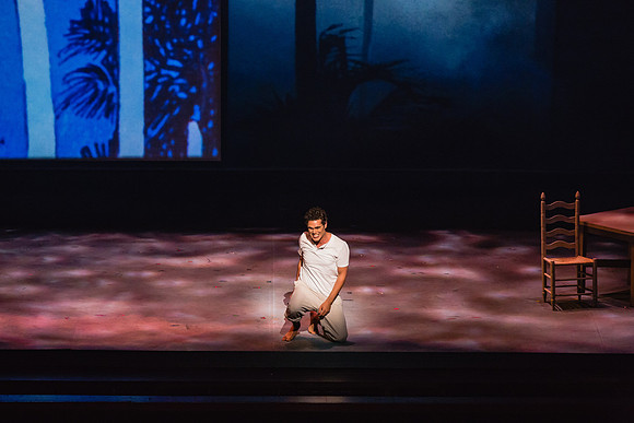 Before Night Falls Florida Grand Opera by Jorge Martin with Dolores M. Koch
