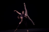 Polyphonia  2013-14