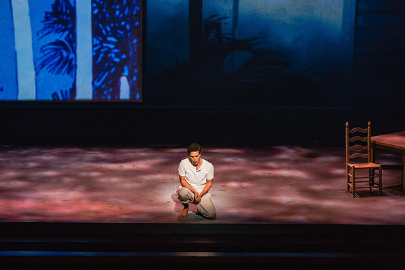 Before Night Falls Florida Grand Opera by Jorge Martin with Dolores M. Koch
