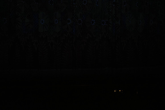 20160212_Year_of_The_Rabbit_Wide_PR20160212__S5A2642
