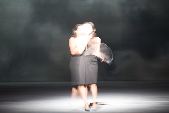 Lucia di Lammermoor Florida Grand Opera by Salvadore Cammarano