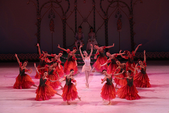 20141229_Nutcracker_WPB_Flowers__CG3P2089