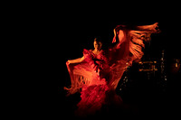 20220421_Stars_of_Flamenco_DSC0325