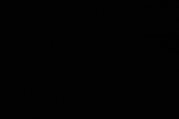 20250425_Carmen_PRF_MCB_DSC0097