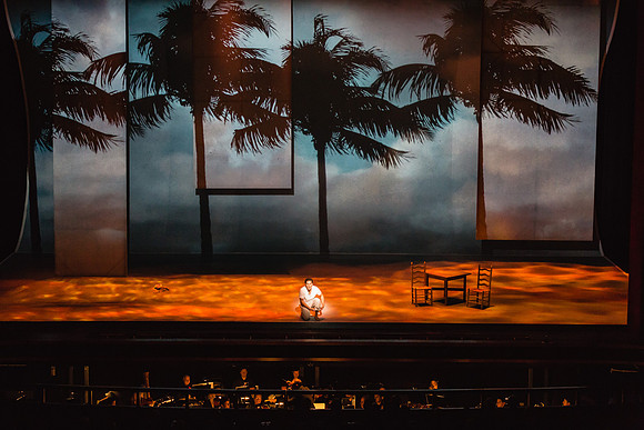 Before Night Falls Florida Grand Opera by Jorge Martin with Dolores M. Koch